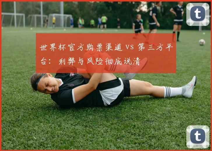 世界杯官方购票渠道 vs 第三方平台:利弊与风险彻底说清