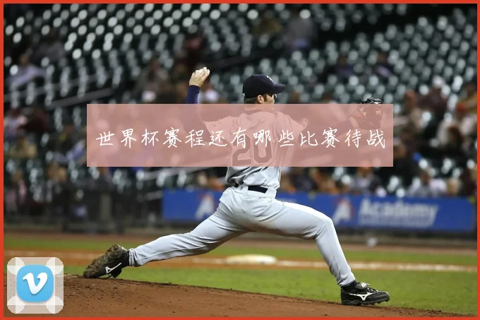 世界杯赛程还有哪些比赛待战