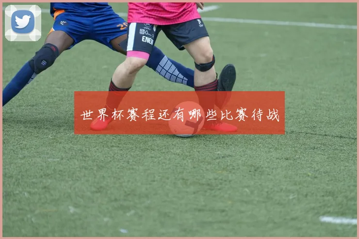 世界杯赛程还有哪些比赛待战