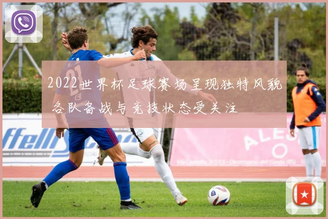 2022世界杯足球赛场呈现独特风貌 各队备战与竞技状态受关注