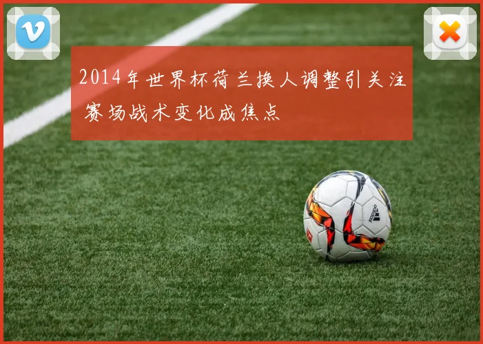 2014年世界杯荷兰换人调整引关注 赛场战术变化成焦点